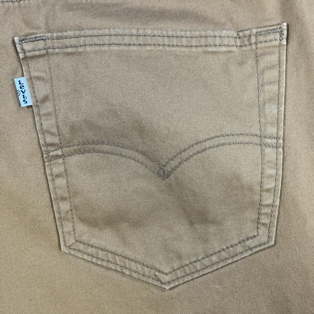 Levis levi 541